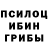 Псилоцибиновые грибы MAGIC MUSHROOMS Narziev Rustam