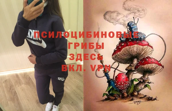 а пвп мука Алапаевск